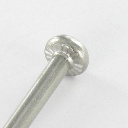 1 x Machine Screw Cylindrical Button Head T20 4X88 Thread Length: 30 Stainless Steel A2