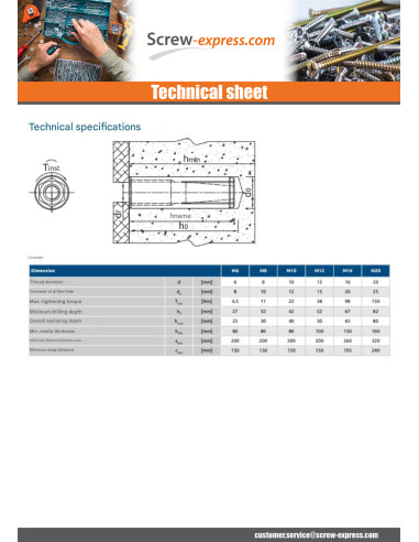 1 x Plug NUGGET RAWL Zinc Plated 6X25