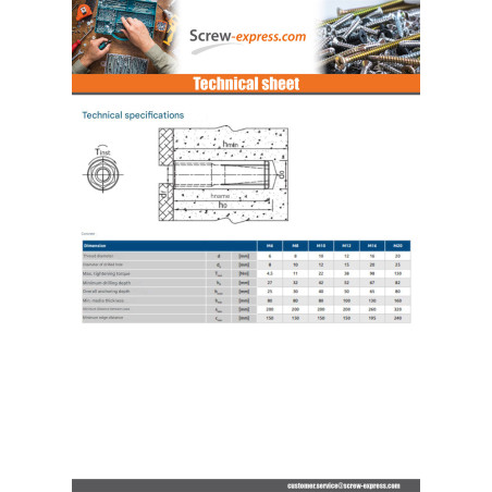 1 x Plug NUGGET RAWL Zinc Plated 10X40