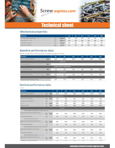 1 x Plug NUGGET RAWL Zinc Plated 10X40