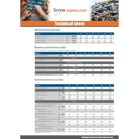 1 x Plug NUGGET RAWL Zinc Plated 8X30