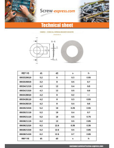Washer Conical SPRING Stainless Steel 16.3X31.5X0.8 2
