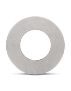 Washer Conical SPRING Stainless Steel 10.2X20X1