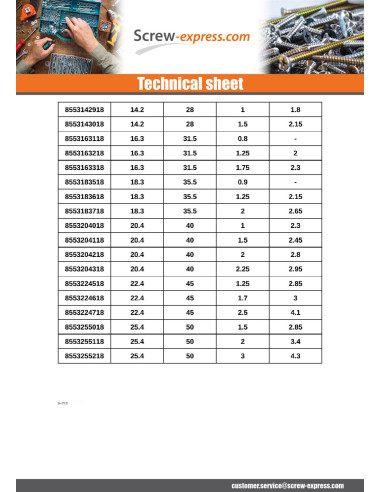 1 x Washer Conical SPRING Stainless Steel 12.2...