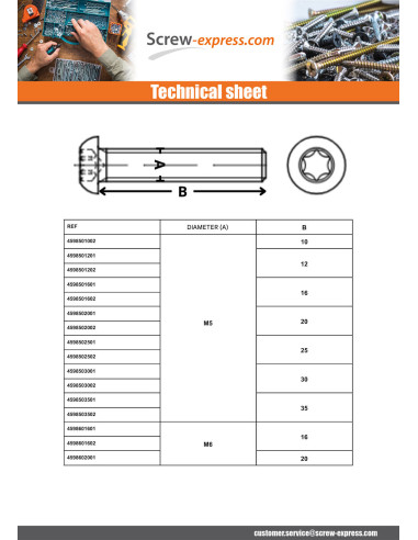 1 x Machine Screw Pan Head T25 M5X20 Class 10.9...