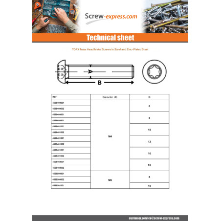 1 x Machine Screw Pan Head T40 M8X25 Class 10.9 Zinc Plated