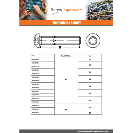 1 x Machine Screw Pan Head T25 M5X12 Class 10.9 Steel