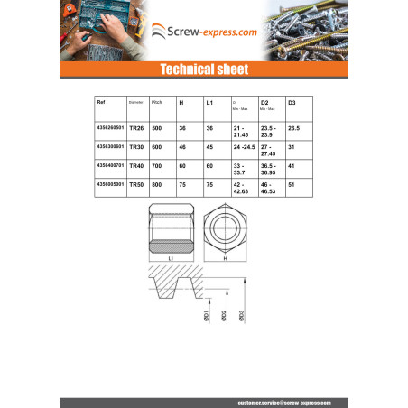 1 x Hexagonal nut SKM Round Head 10X2 Trapezoidal Right Steel