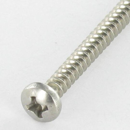 1 x Thread Rolling Screw wide domed head Phillips 4.2X6.5 Stainless Steel A2