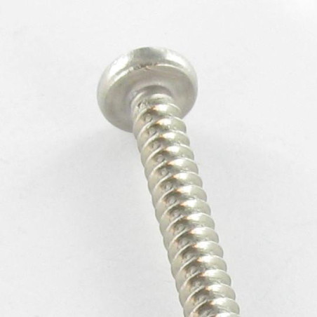 1 x Thread Rolling Screw wide domed head Phillips 4.2X6.5 Stainless Steel A2