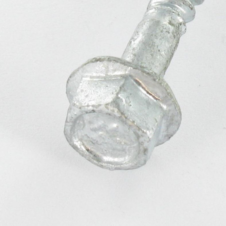 1 x Stuffing Screw Hot Dip Galvanized Round Head Slotted 5X60 R23260