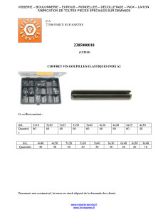 Set of 810 Pin ELAST Stainless Steel A2 2