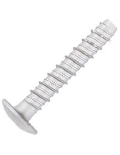 Screw For Concrete Head Pan Head Torx 6X40 Zinc Plated