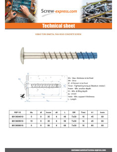 Screw For Concrete Head Pan Head Torx 6X60 Bimetal 2