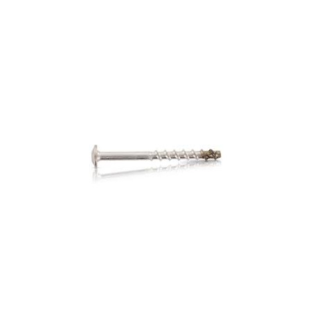 1 x Screw For Concrete Head Pan Head T30 Stainless Steel A4 7.5X100 Thread Length: 45