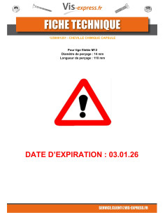 Chemical Anchor Capsule M12 2