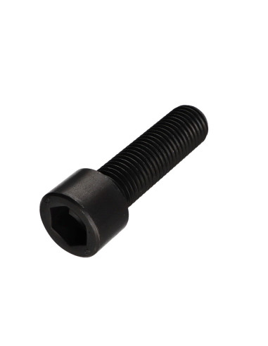 1 x Machine Screw Socket Head Hexagon Socket 19...