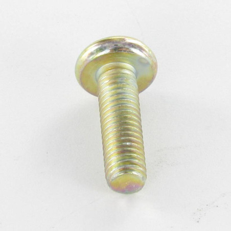 1 x Machine Screw Large Pan Head Pozi 3 M6X20 Yellow Zinc