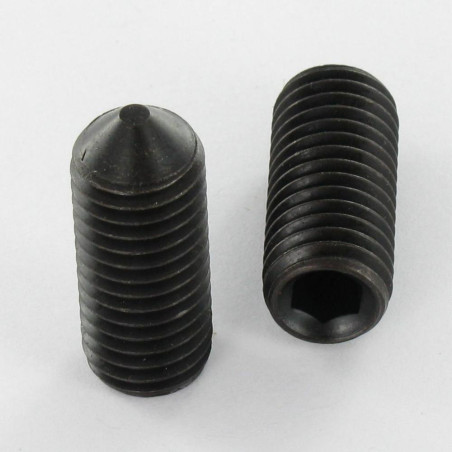 1 x Machine Screw Socket Head Hexagon Recess Hexagon Socket 2.5 M5X8 Cone Point Steel