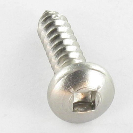 1 x Thread Rolling Screw Pan Head CARE 4.8X16 Square 2 Stainless Steel A2