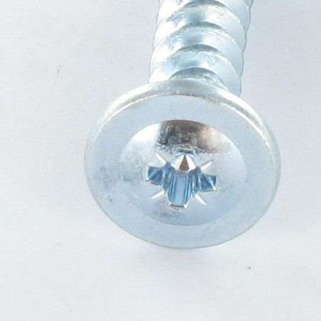 1 x Euro screw Mushroom Pozi PZ2 6.3X28 Zinc Plated to