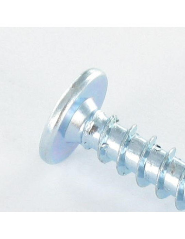 1 x Euro screw Mushroom Pozi PZ2 6.3X28 Zinc...