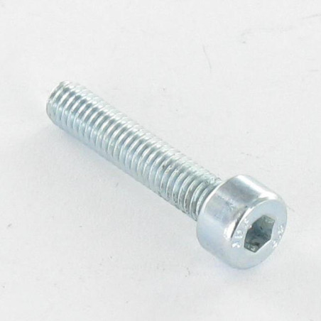 1 x Machine Screw Socket Head M12X20 Full Thread Class 8.8 Hexagon Socket 10 Zinc Plated