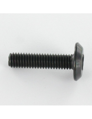 1 x Machine Screw flat Hexagon Socket 4 M6X35...