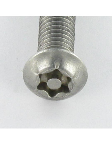 1 x Machine Screw Stainless Steel A2 Security...