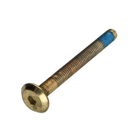 1 x Machine Screw flat Hexagon Socket 4 M6X60 Patch Nylon Brass Plated Steel