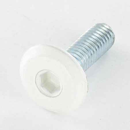 1 x Machine Screw flat Hexagon Socket 4 M6X20 Zinc Plated Head Ral9010/Pure White