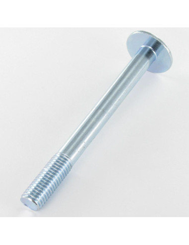 1 x Machine Screw Mushroom Without EMPR 12X120...