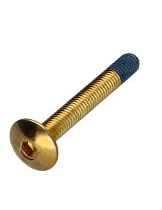 Screw Mushroom M6X45 Hexagon Socket 4 Brass Patch Nylon