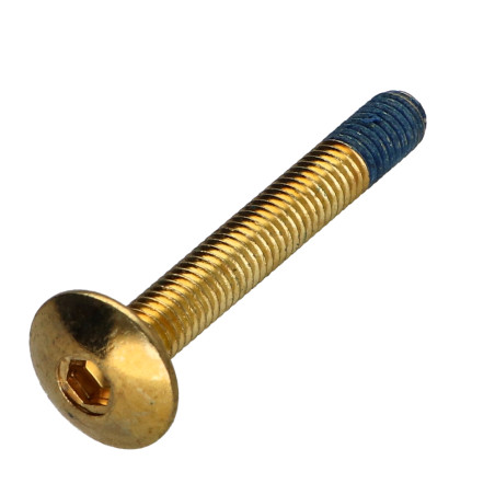 1 x Screw Mushroom M6X45 Hexagon Socket 4 Brass Patch Nylon