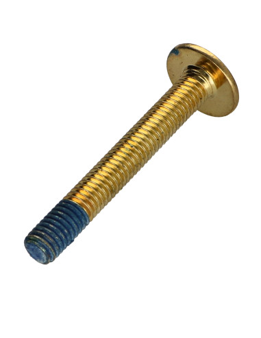 1 x Screw Mushroom M6X45 Hexagon Socket 4 Brass...