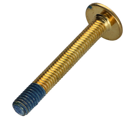1 x Screw Mushroom M6X45 Hexagon Socket 4 Brass Patch Nylon