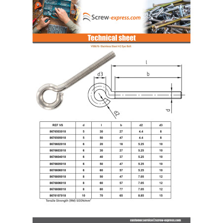 1 x Piton Machine M6X60 Eye 10 Stainless Steel A2