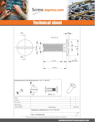 1 x Nut Binder Pan Head Slotted M4X12 5X16 Brass
