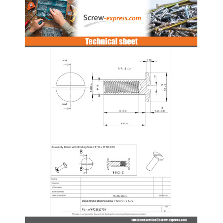 1 x Nut Binder Pan Head Slotted M4X12 5X16 Brass