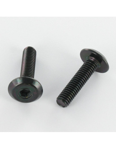 1 x Machine Screw flat Hexagon Socket 4 M6X45...