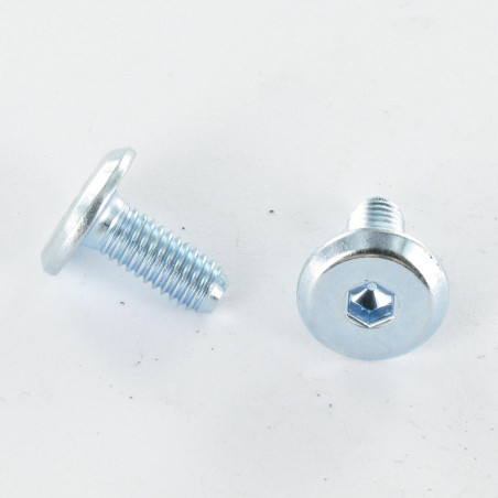 1 x Machine Screw flat Hexagon Socket 4 M6X30 Zinc Plated