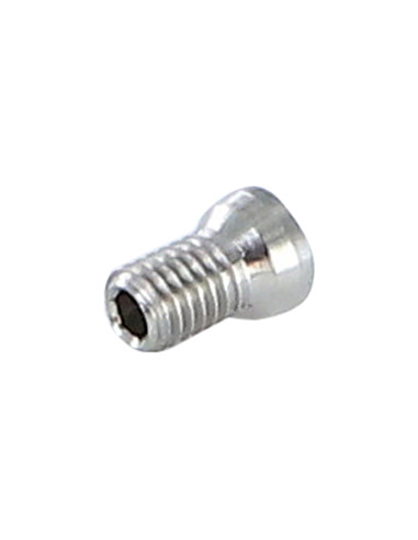 1 x Machine Screw M5X5 Hexagon Socket 2.5...