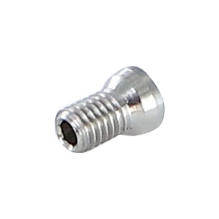 1 x Machine Screw M5X5 Hexagon Socket 2.5 7.1X10 Stainless Steel A2