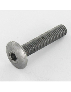 Screw Mushroom M6X75 Hexagon Socket 4 Steel