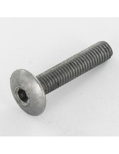 1 x Screw Mushroom M6X75 Hexagon Socket 4 Steel