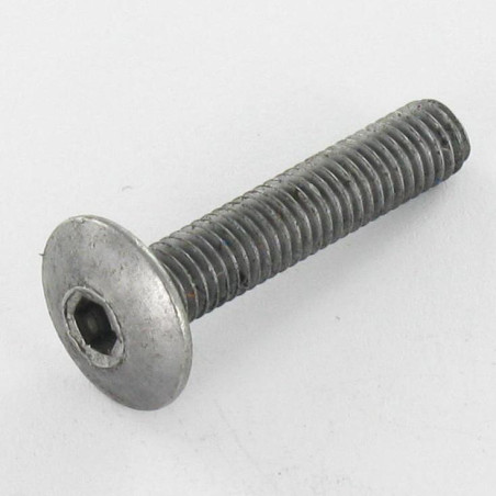 1 x Screw Mushroom M6X75 Hexagon Socket 4 Steel