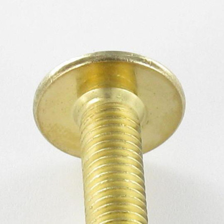 1 x Screw Mushroom M6X55 Hexagon Socket 4 Brass Plated Steel