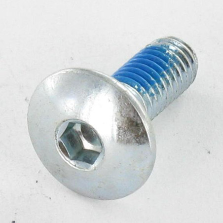 1 x Screw Mushroom M6X16 Hexagon Socket 4 Zinc Plated Patch Nylon