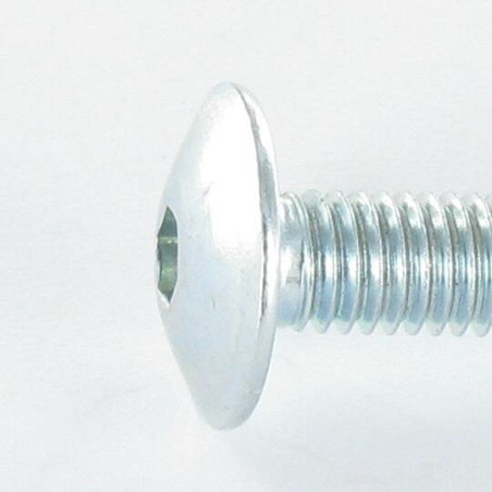 1 x Screw Mushroom Hexagon Recess M7X25 Pitch 100 Zinc Plated