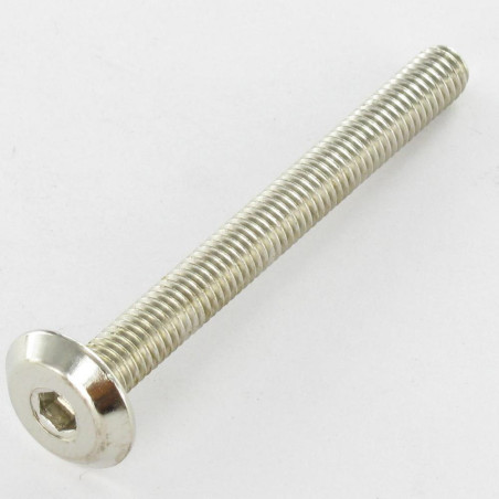 1 x Machine Screw flat Hexagon Socket 4 M6X60 Nickel Plated